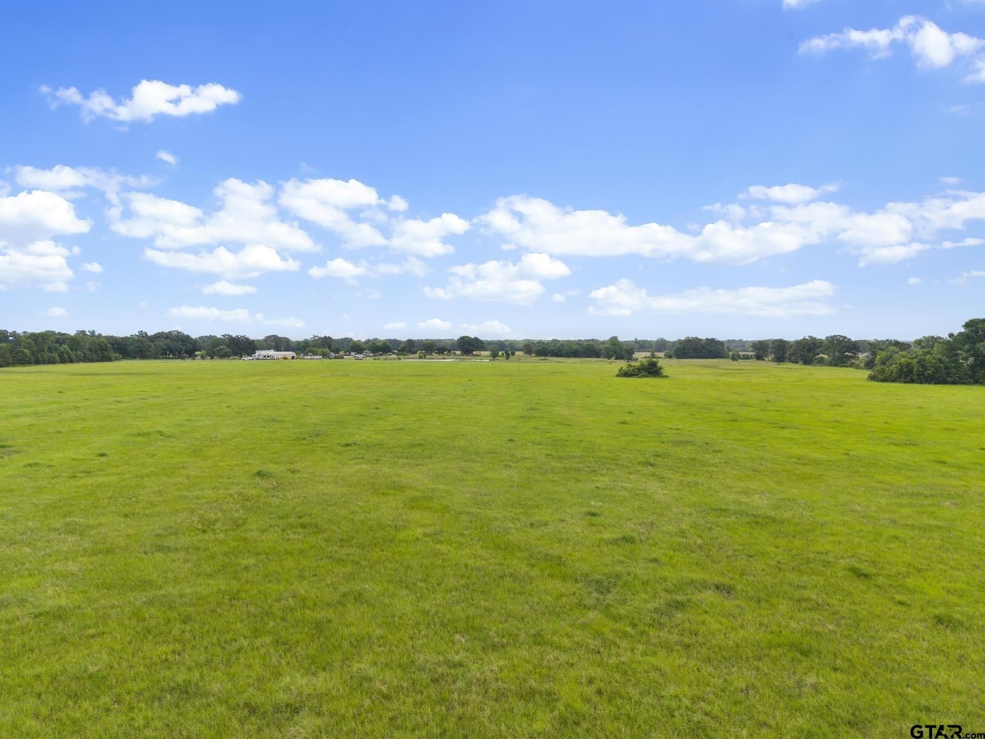 27.83 acres in Rains County - photo 7