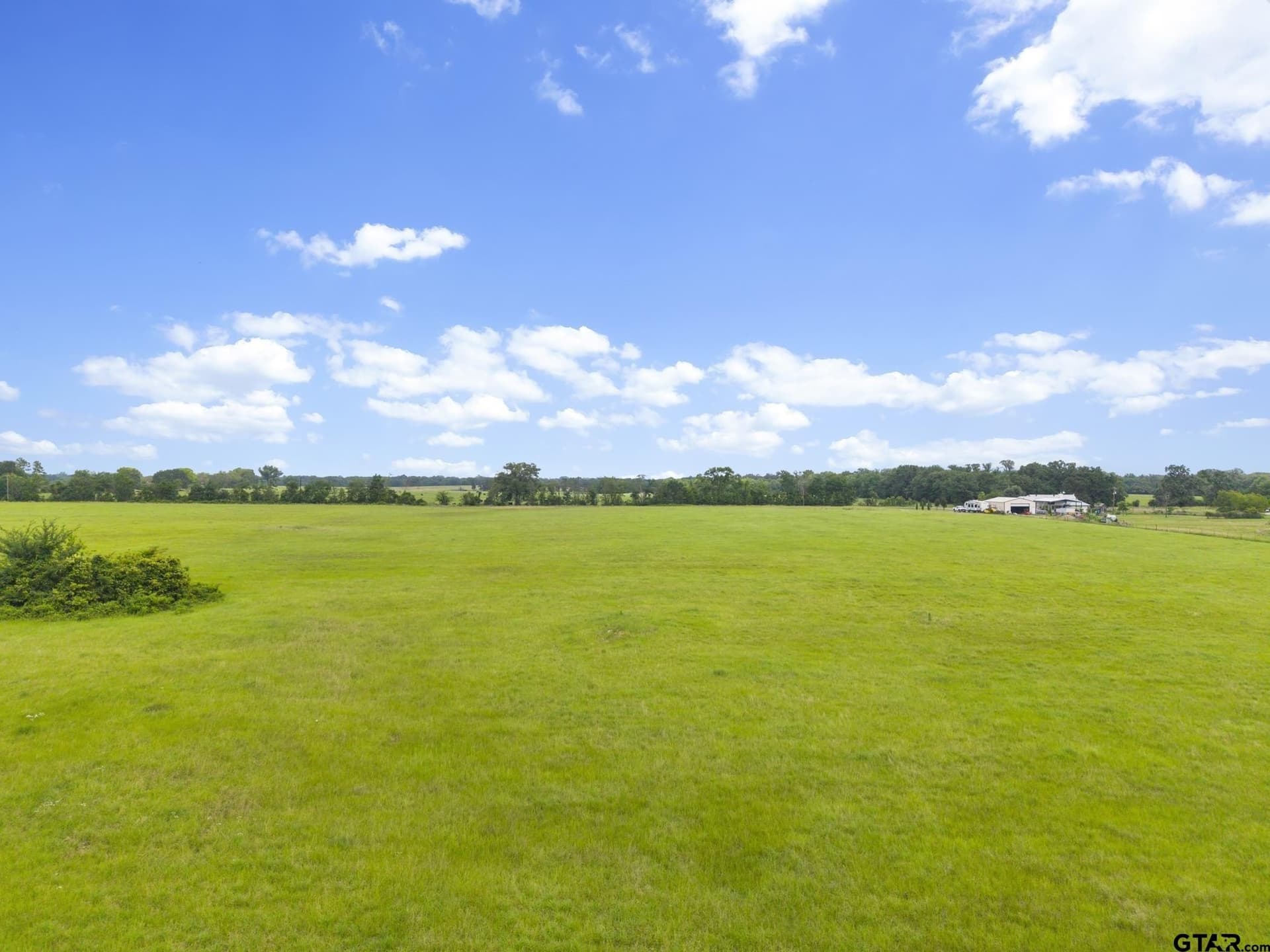 27.83 acres in Rains County - photo 9