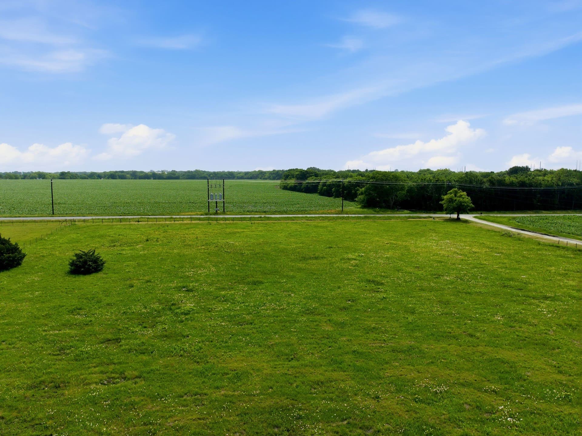 4 acres in Collin County - photo 15