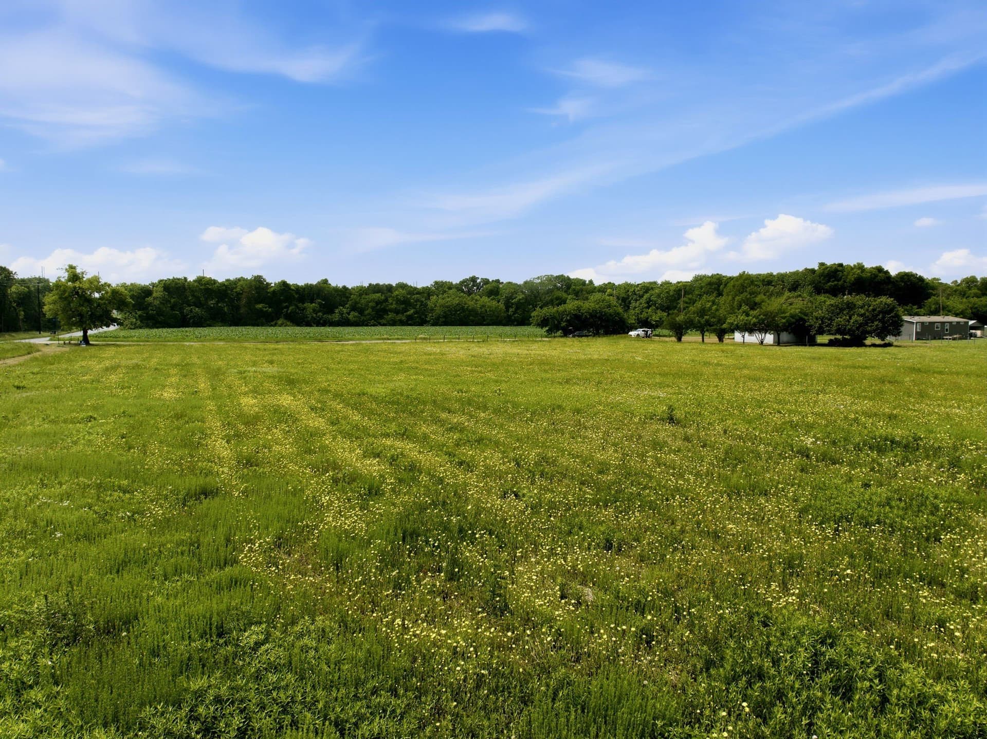 4 acres in Collin County gallery image 3