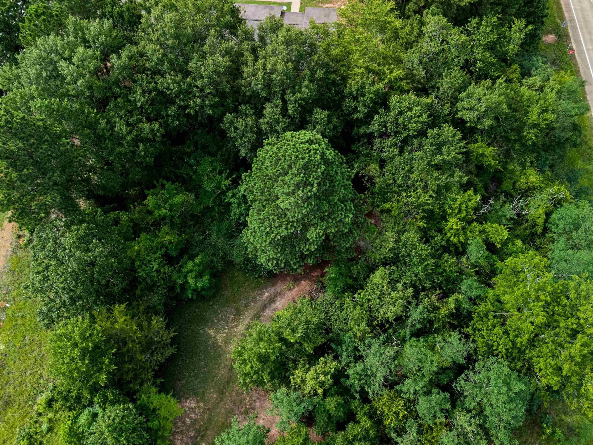 0.74 acres in Gregg County - photo 8
