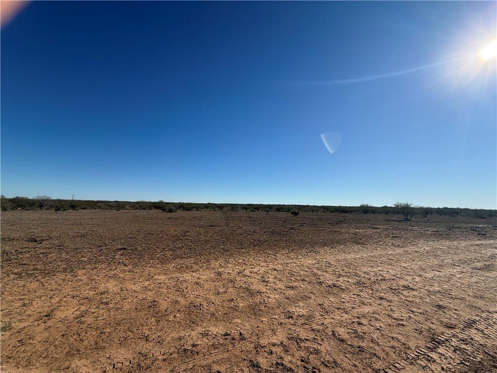 115 acres in Jim Wells County - photo 8
