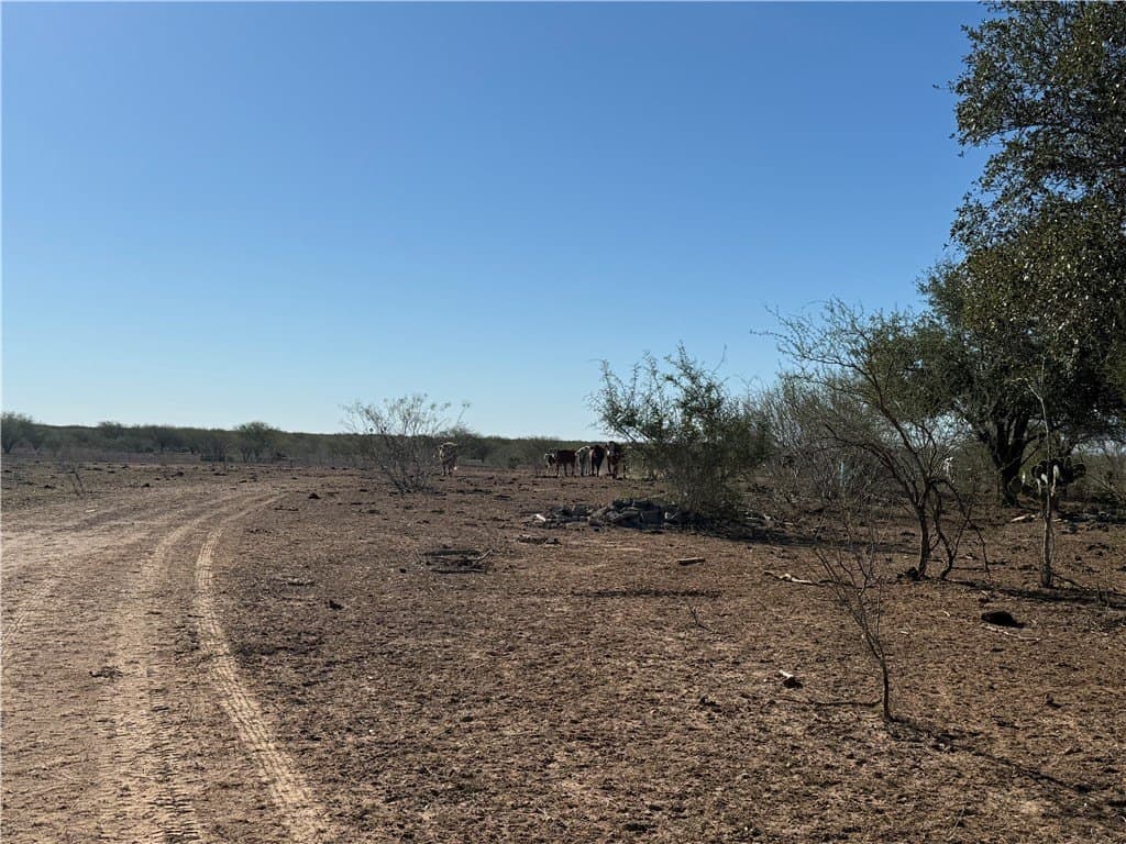 115 acres in Jim Wells County - photo 6