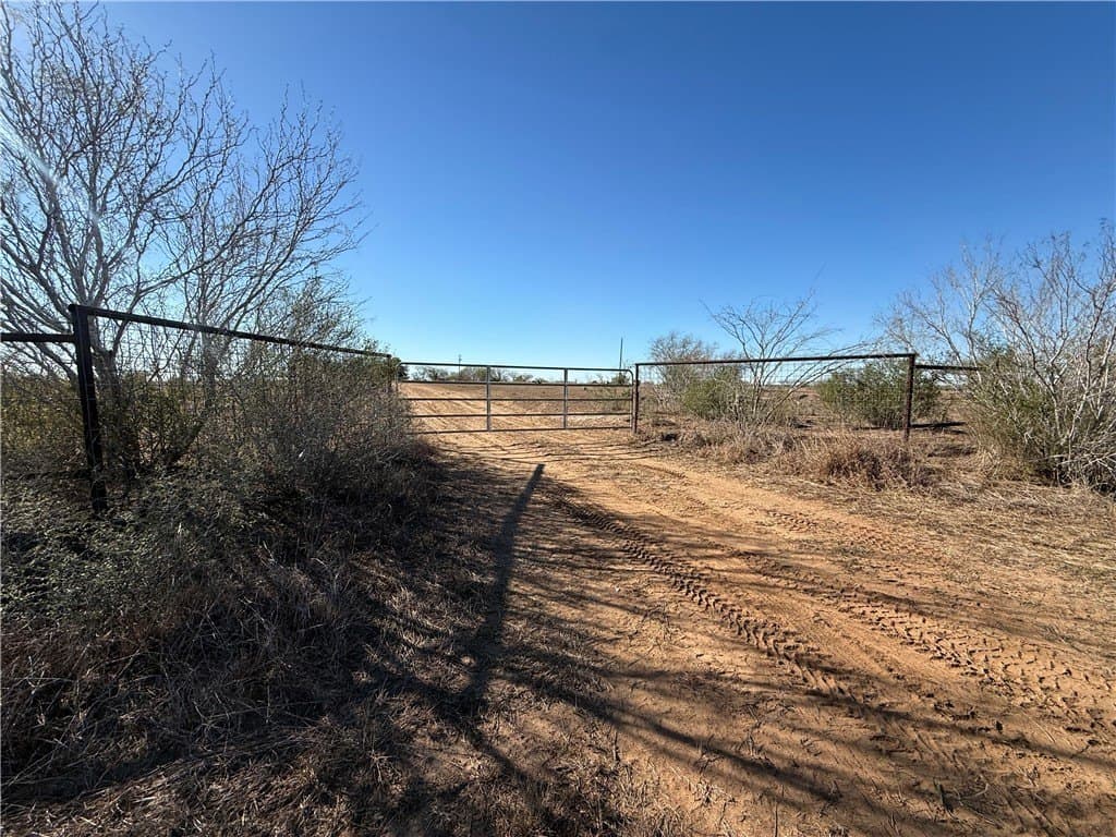 115 acres in Jim Wells County featured view