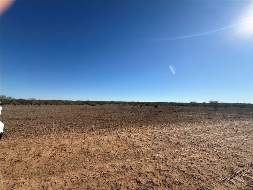 115 acres in Jim Wells County gallery image 2