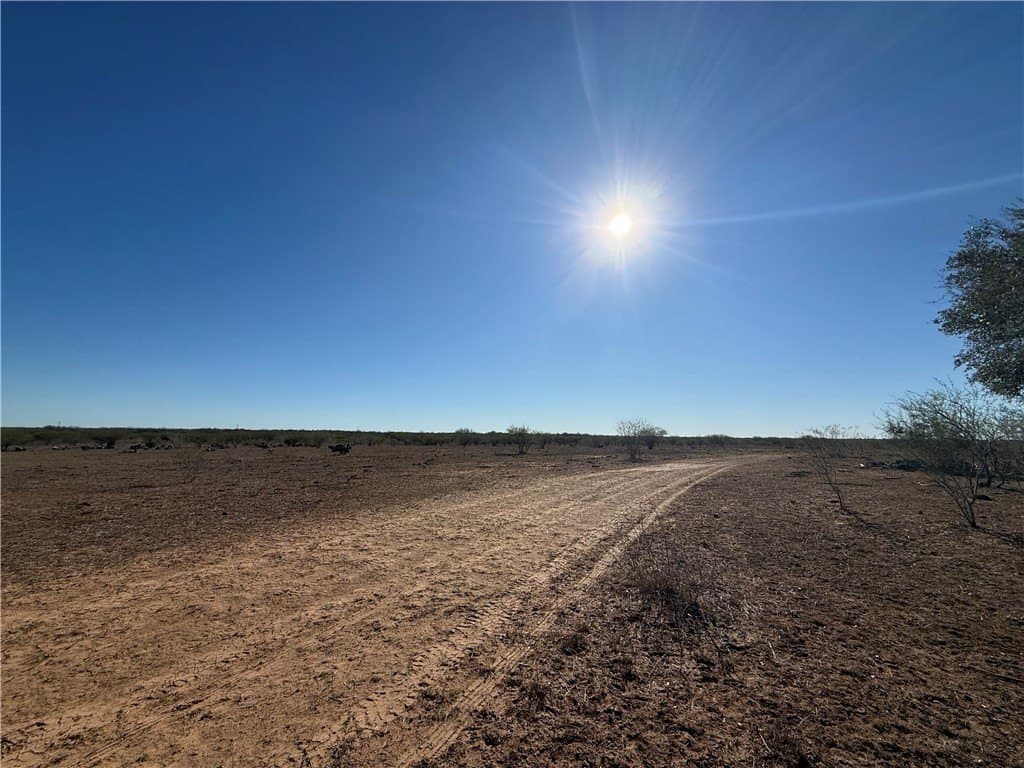 115 acres in Jim Wells County gallery image 3