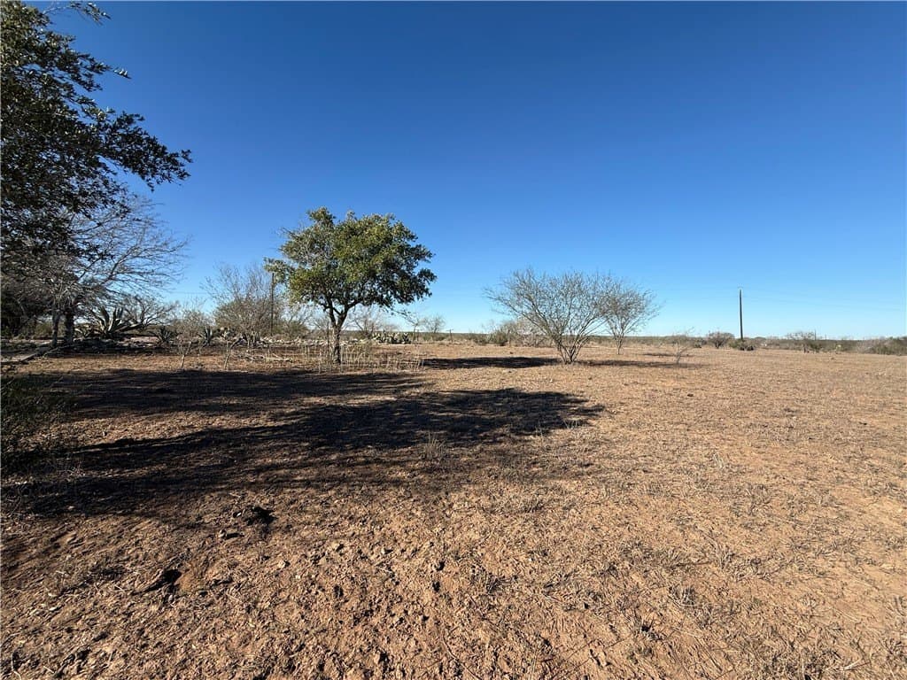 115 acres in Jim Wells County - photo 7