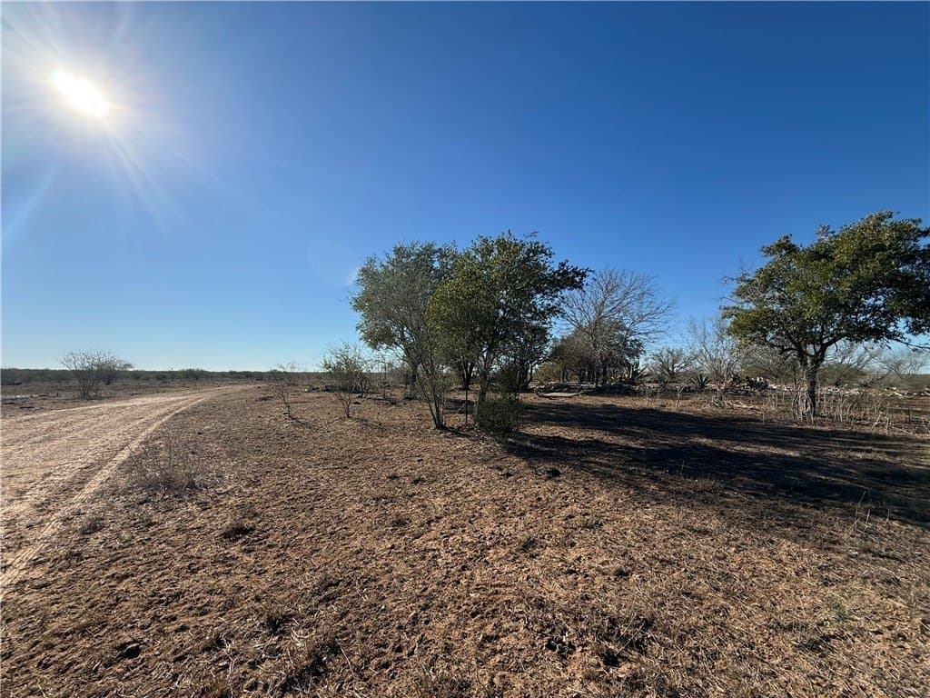 115 acres in Jim Wells County gallery image 4