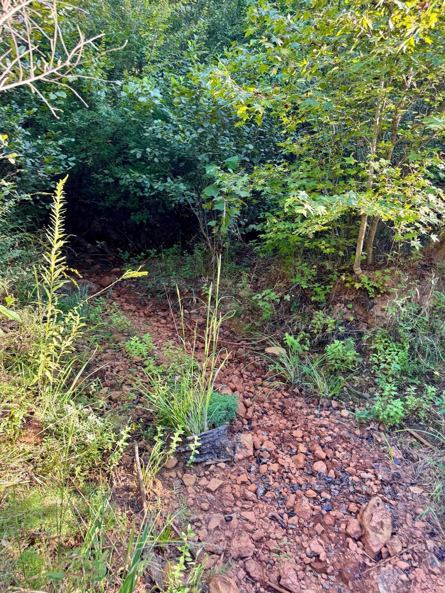 320 acres in Marion County - photo 27