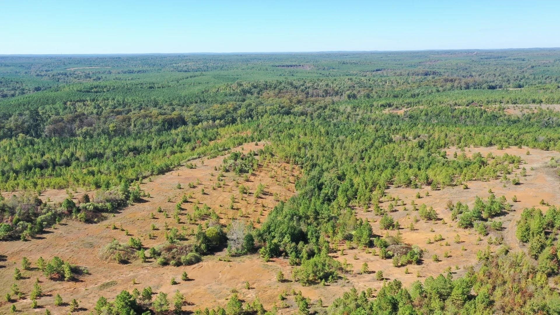 320 acres in Marion County - photo 4