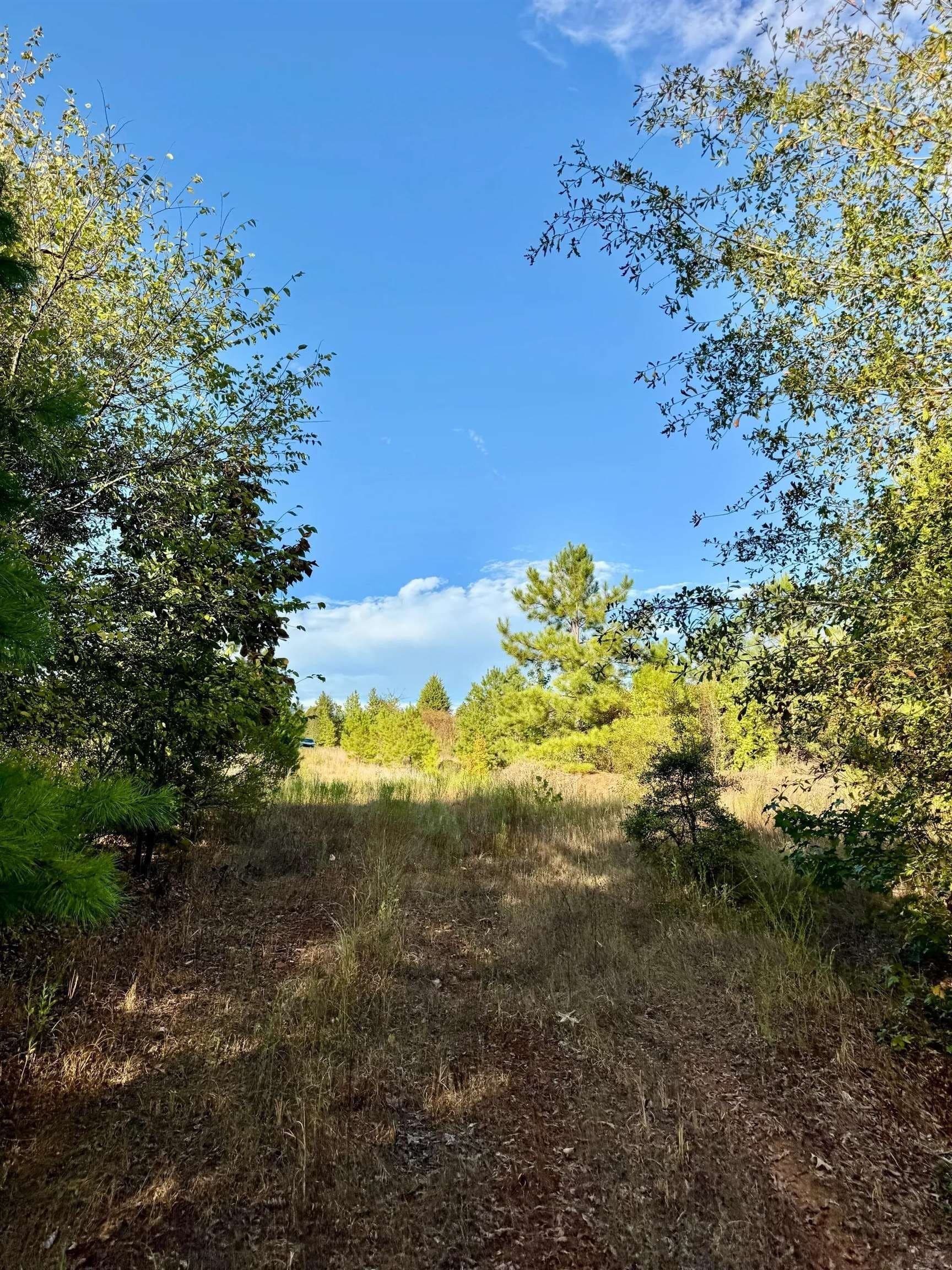 320 acres in Marion County - photo 31