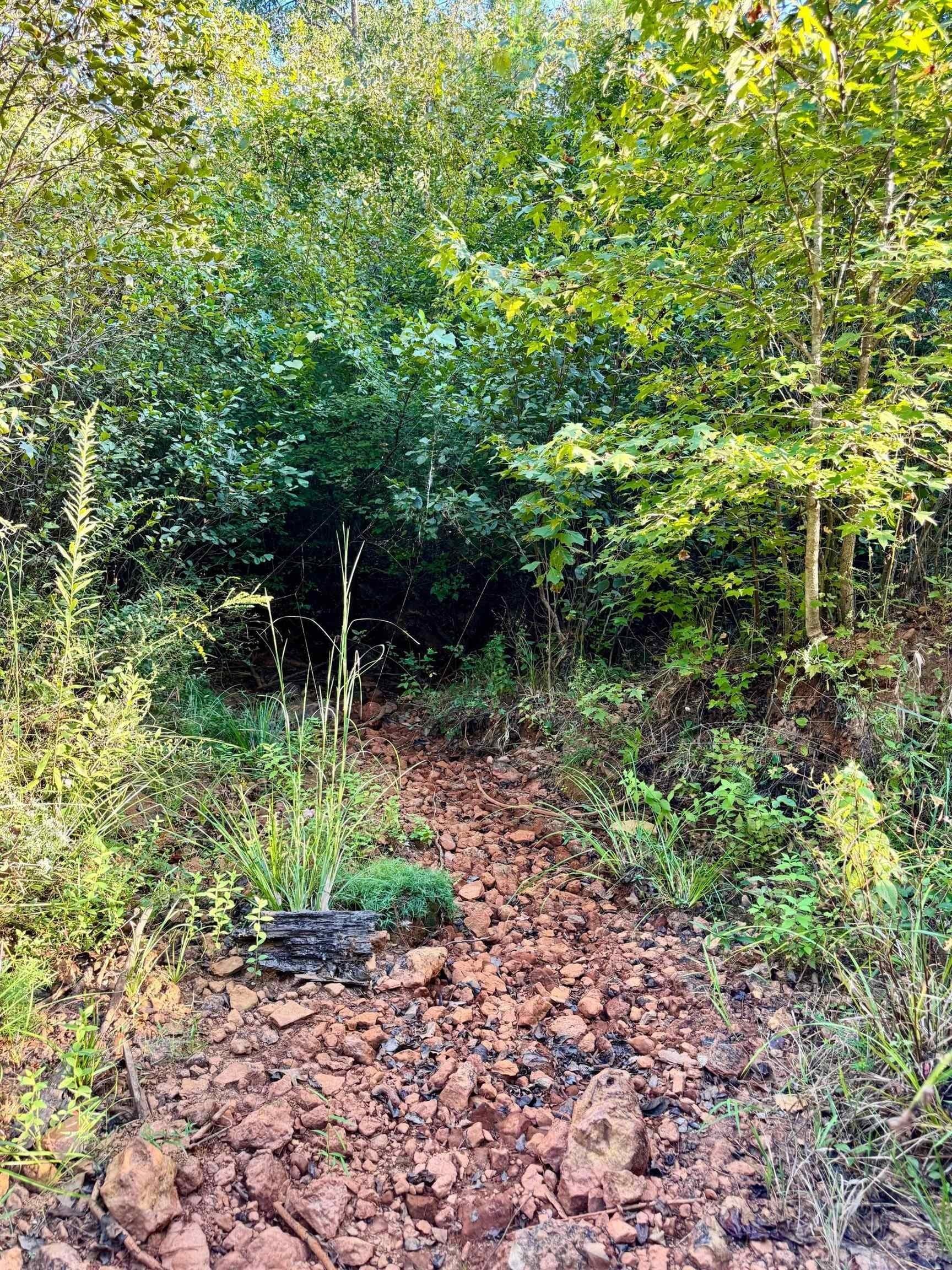 320 acres in Marion County - photo 29