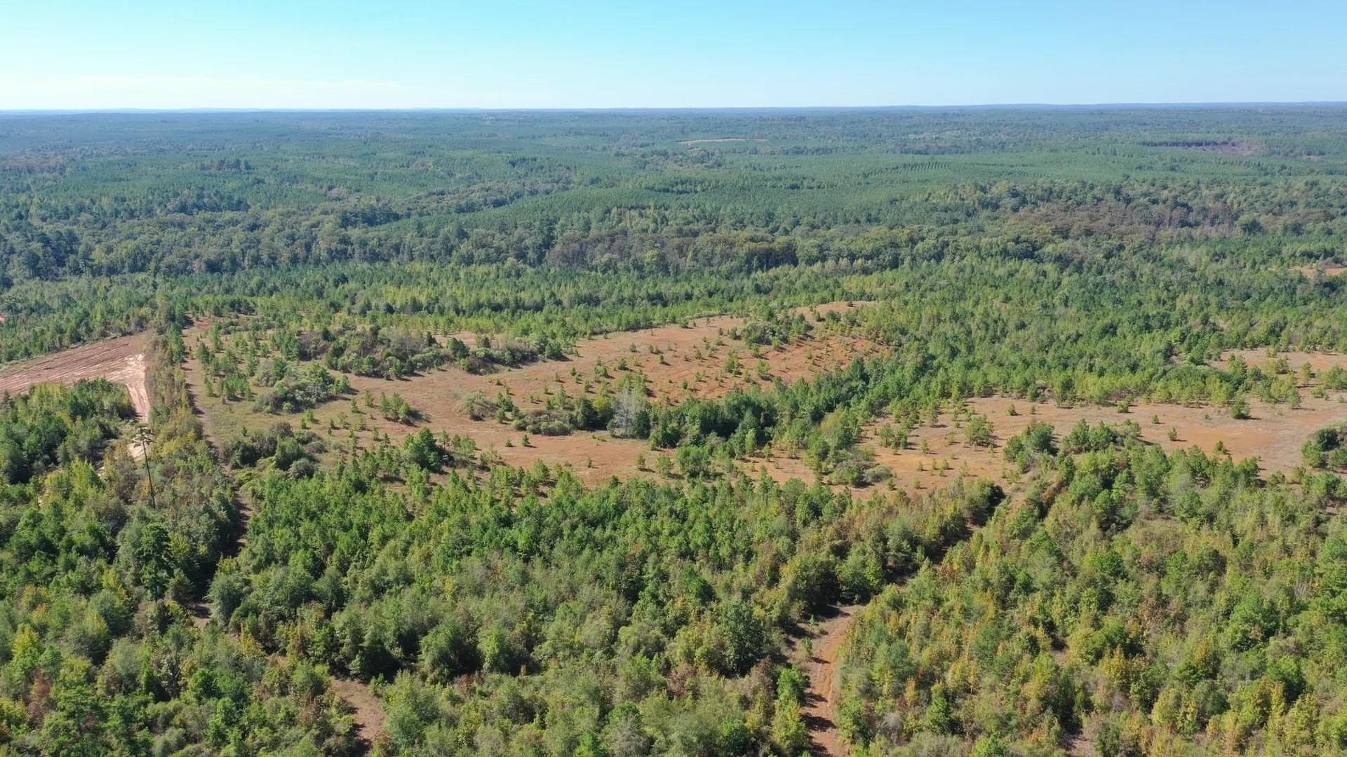 320 acres in Marion County - photo 3