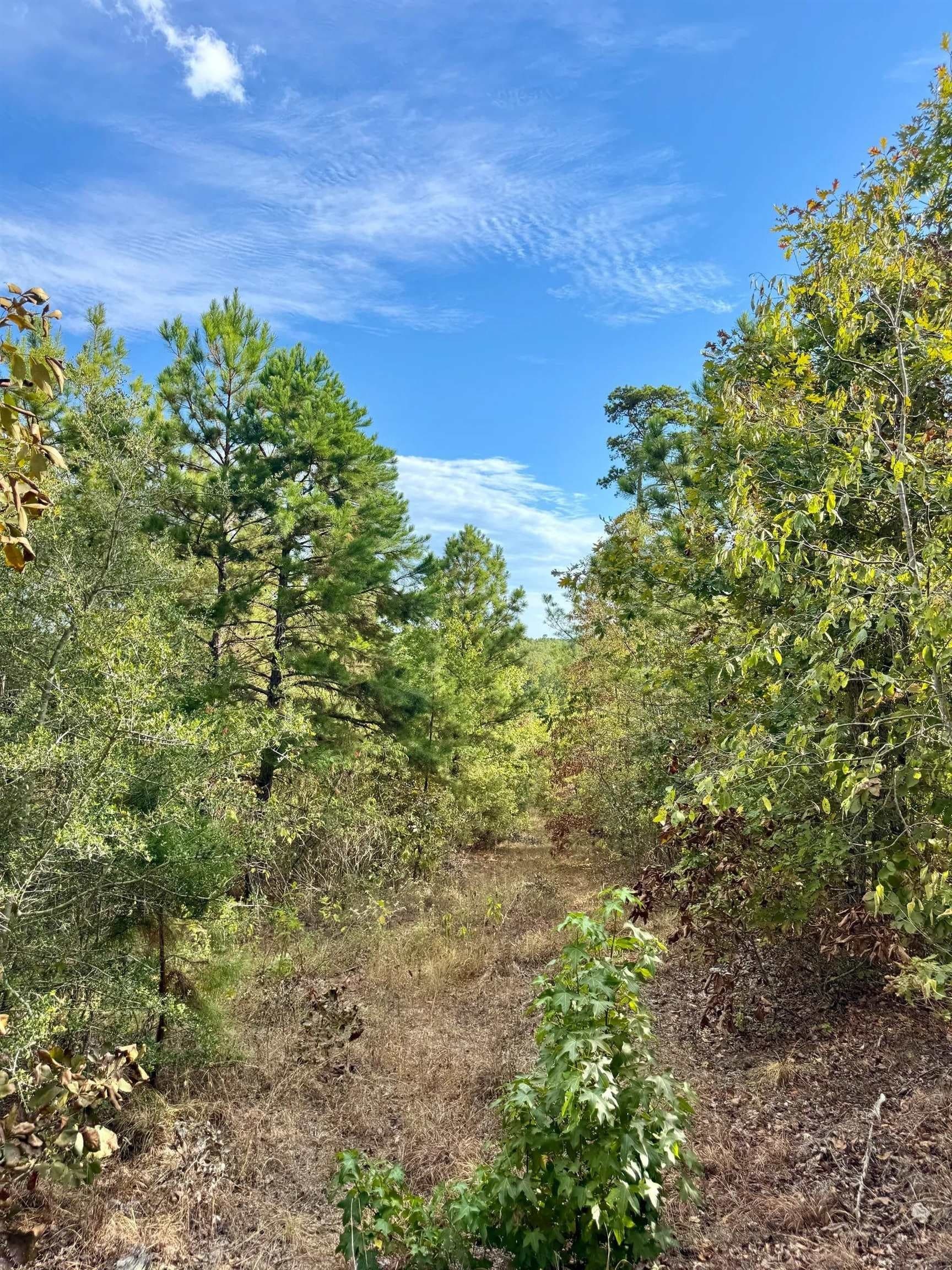 320 acres in Marion County - photo 10