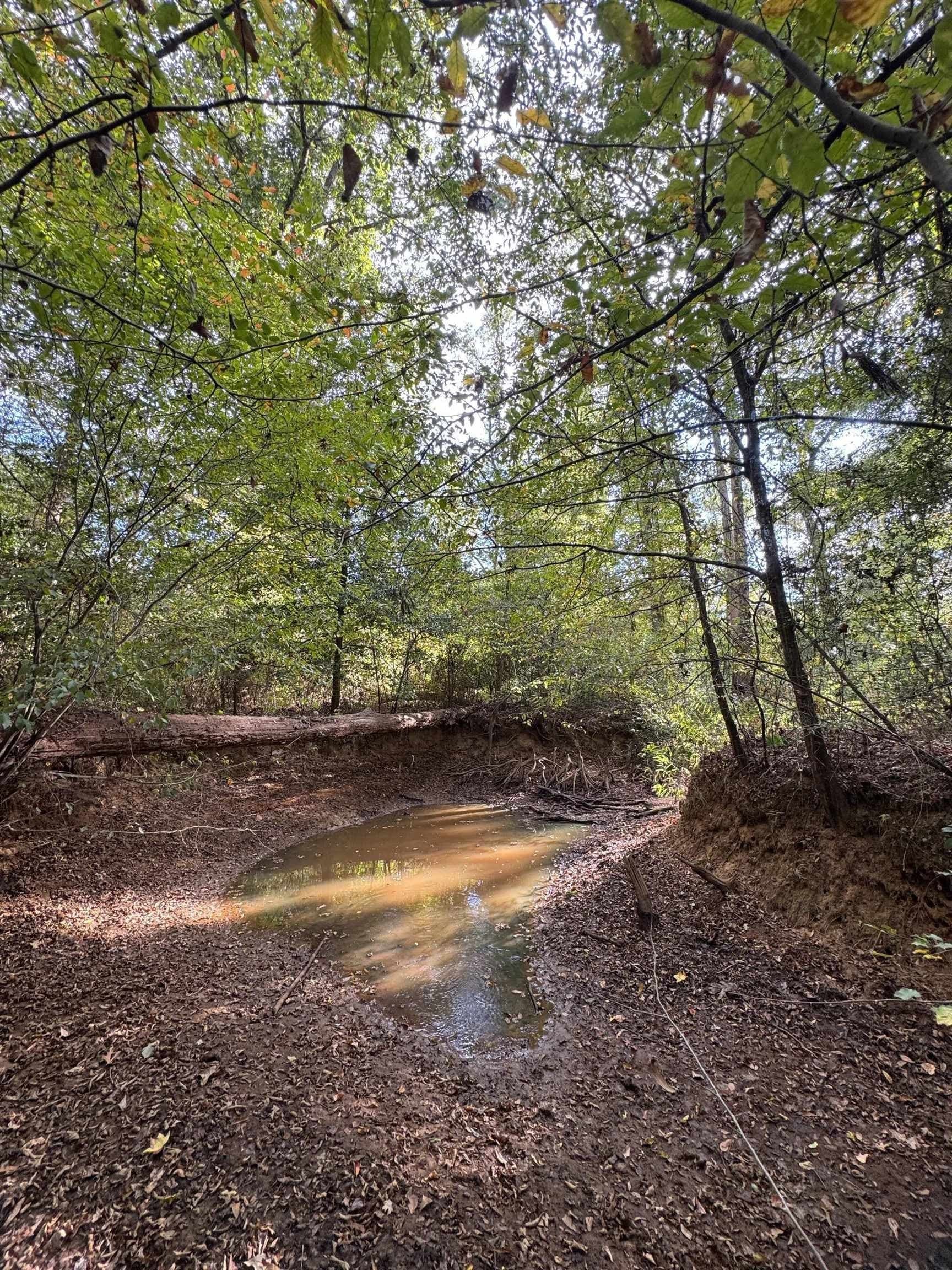 320 acres in Marion County - photo 11