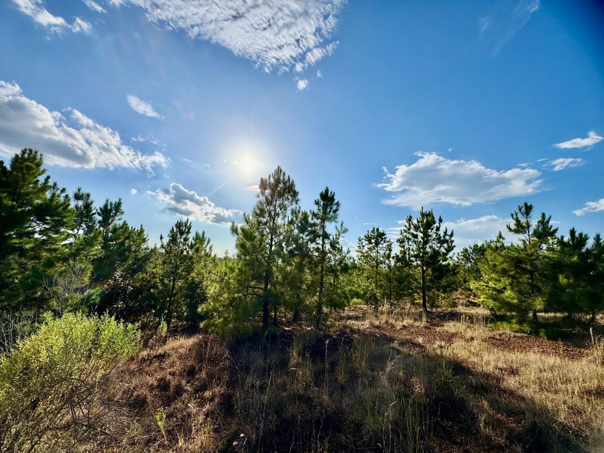 320 acres in Marion County - photo 21