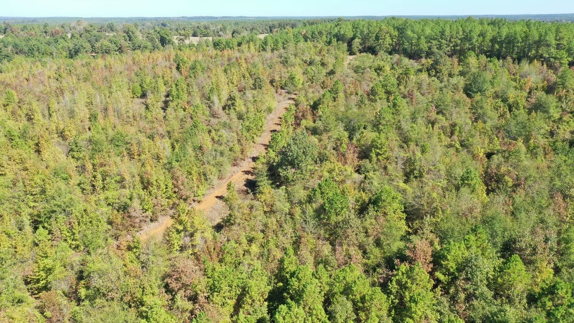 320 acres in Marion County - photo 8