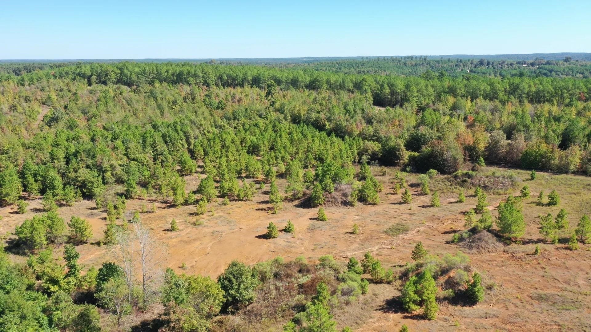 320 acres in Marion County - photo 7