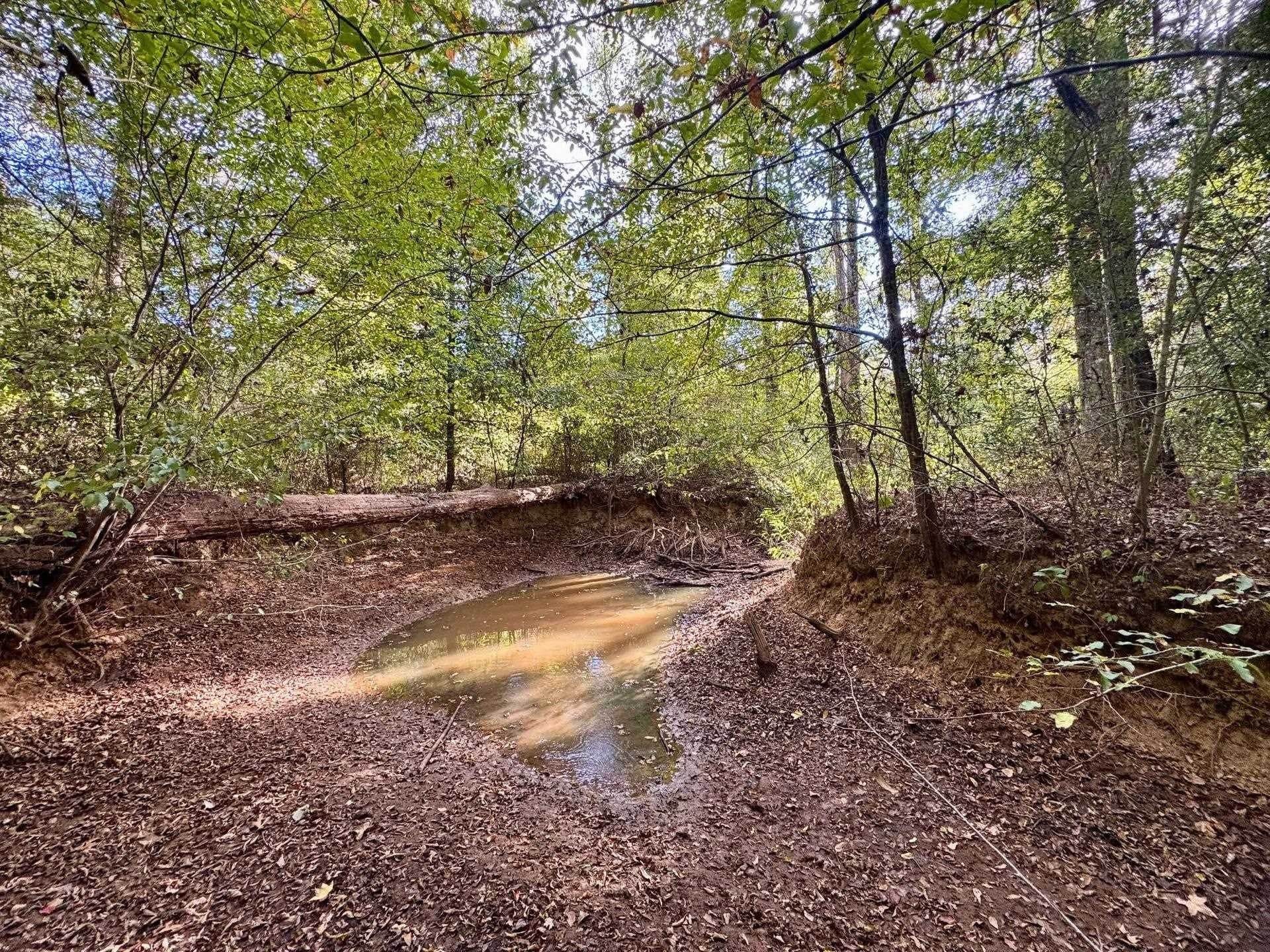 320 acres in Marion County - photo 12
