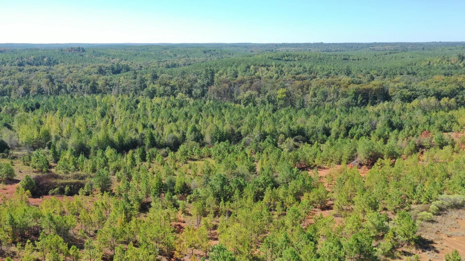 320 acres in Marion County - photo 5