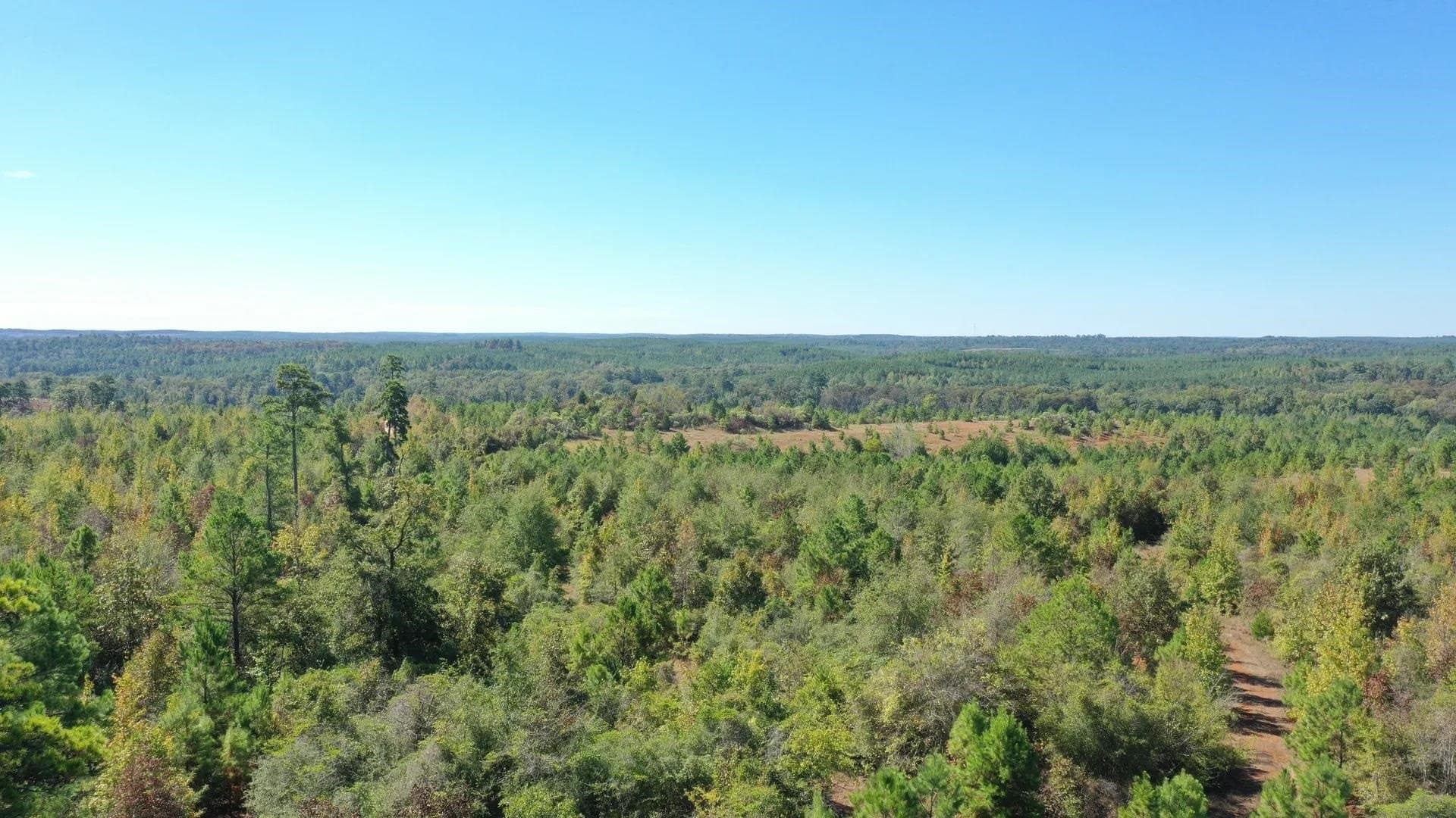320 acres in Marion County - photo 2