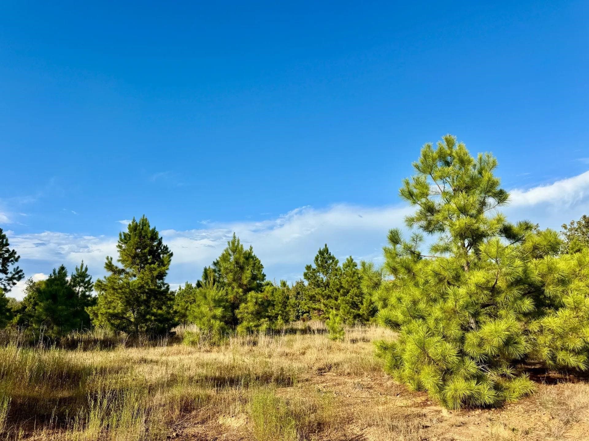 320 acres in Marion County - photo 16
