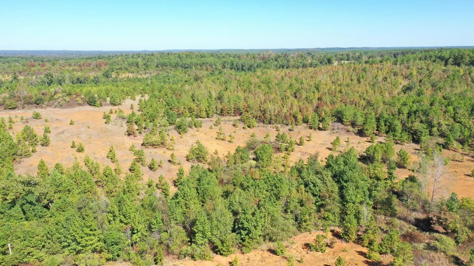 320 acres in Marion County - photo 6