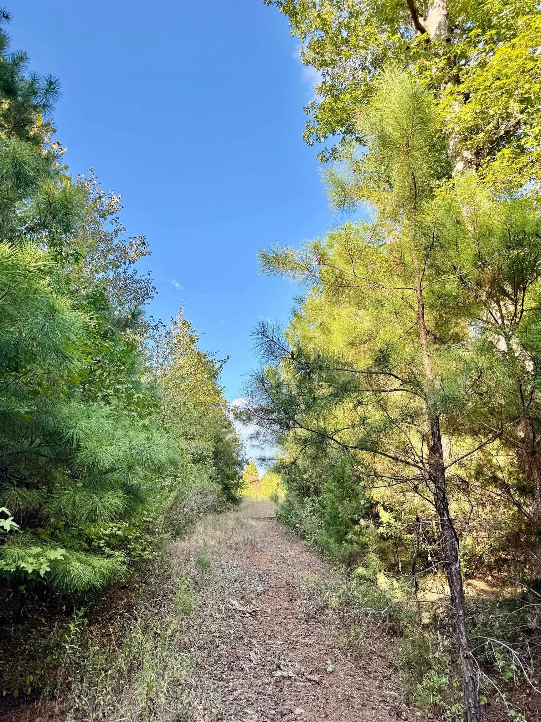 320 acres in Marion County - photo 30