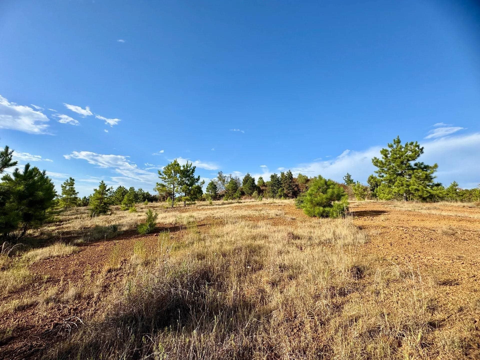 320 acres in Marion County - photo 22