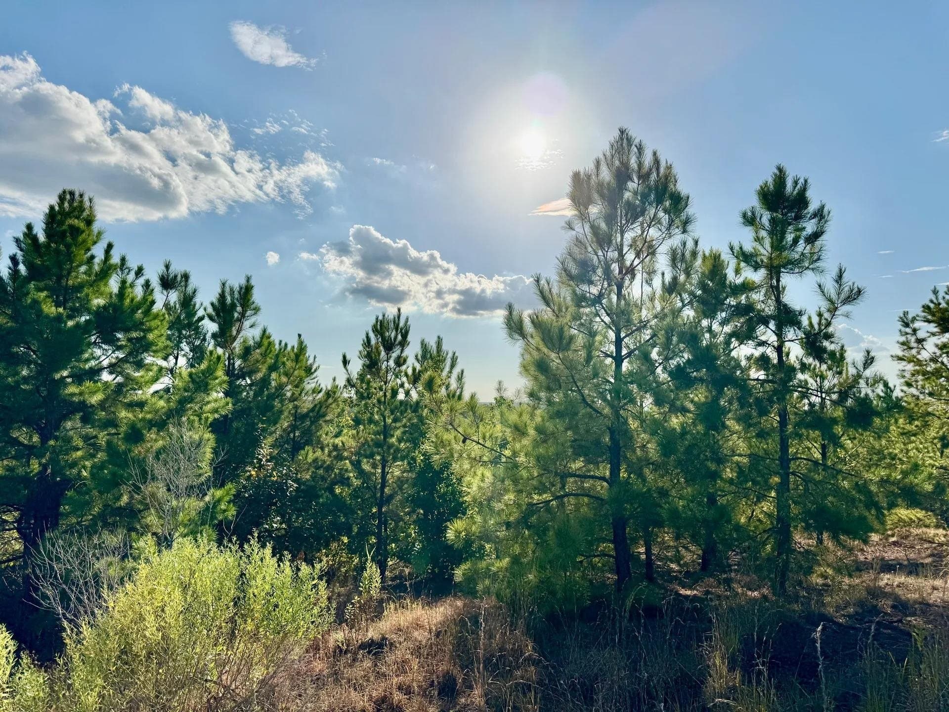 320 acres in Marion County - photo 20