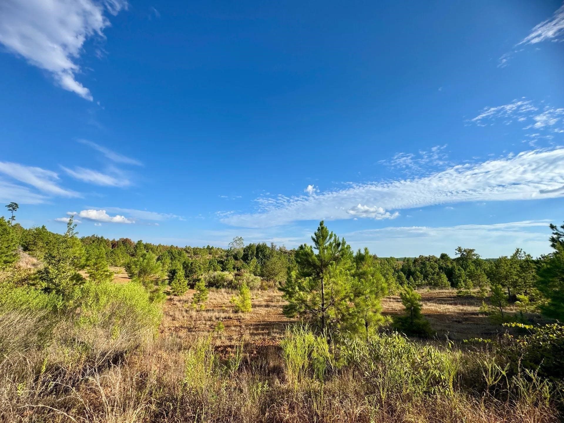 320 acres in Marion County - photo 26