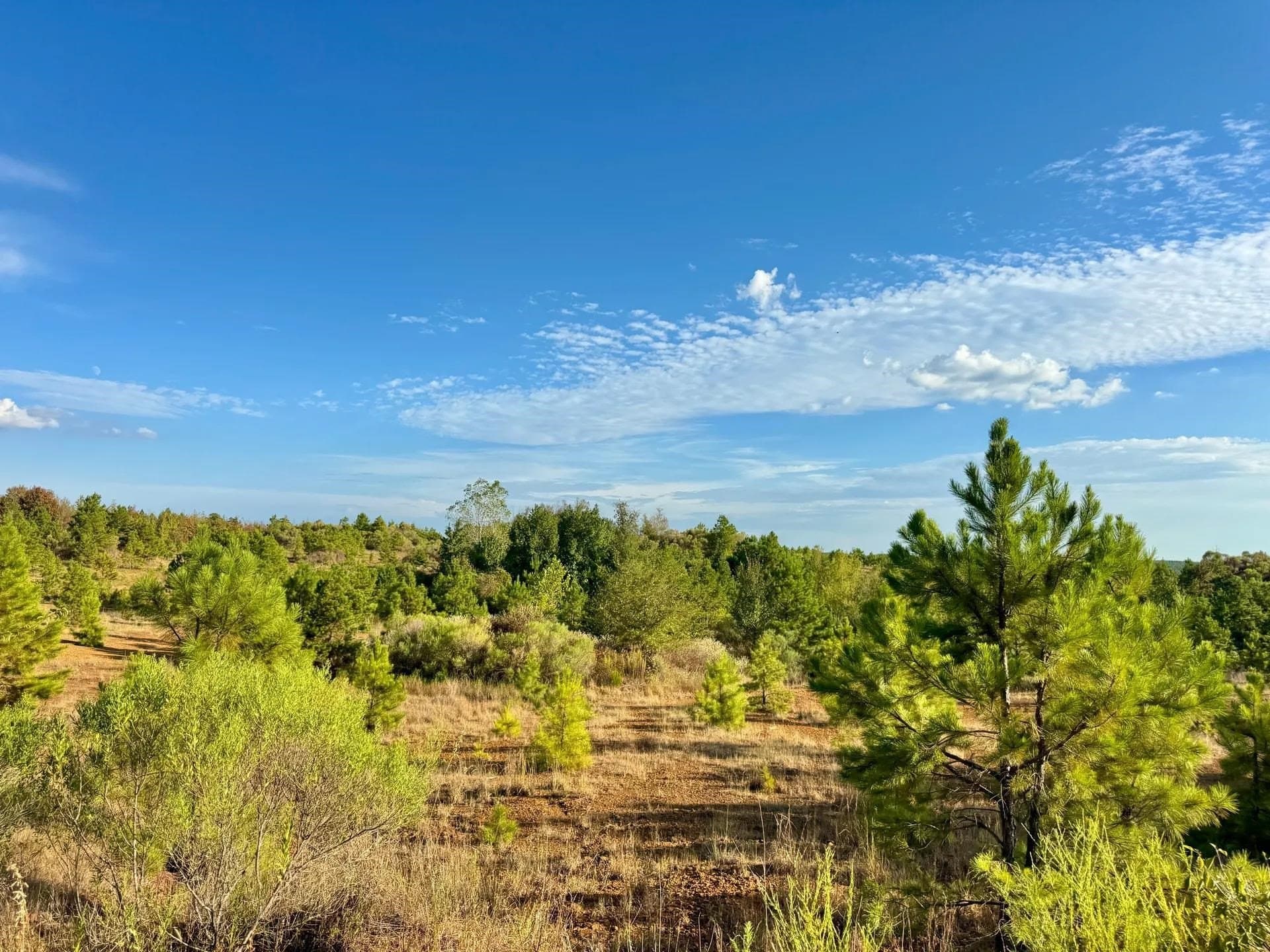320 acres in Marion County - photo 25