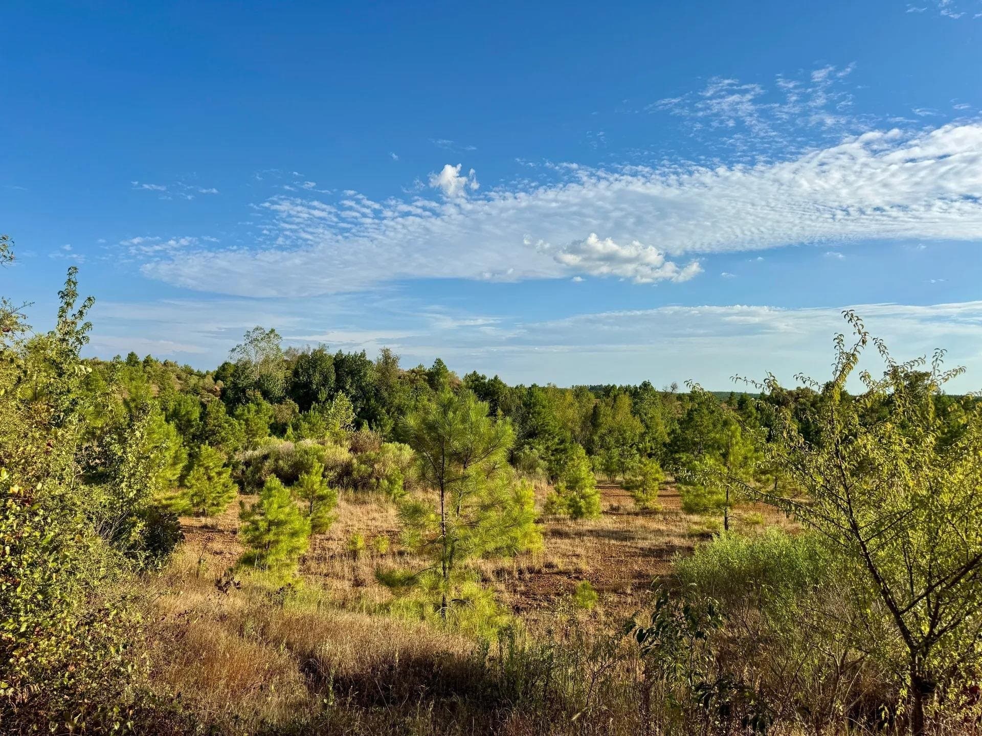 320 acres in Marion County - photo 24