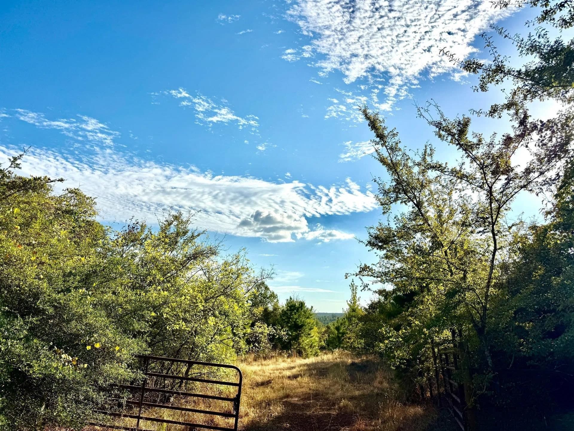 320 acres in Marion County - photo 23