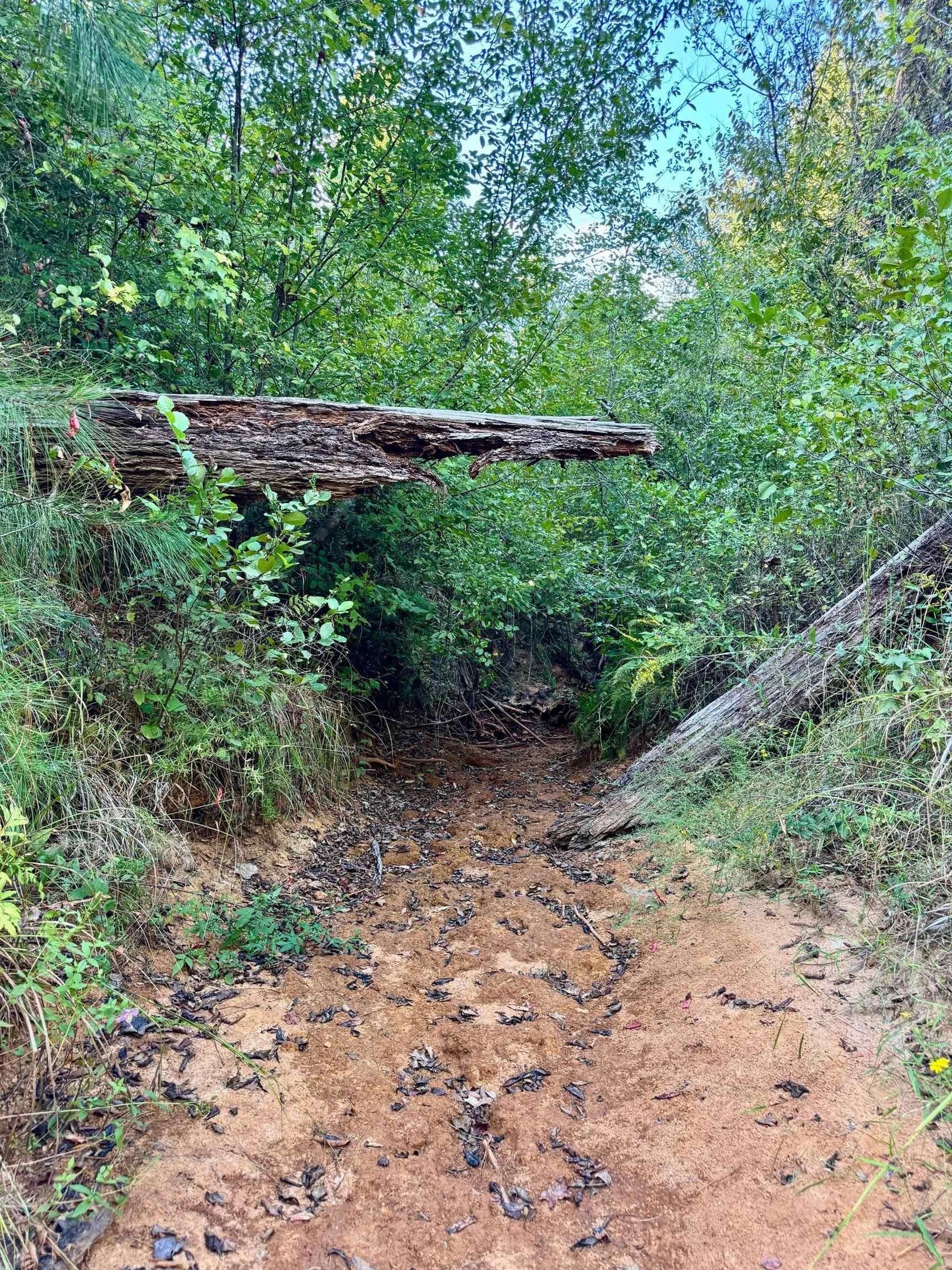 320 acres in Marion County - photo 28