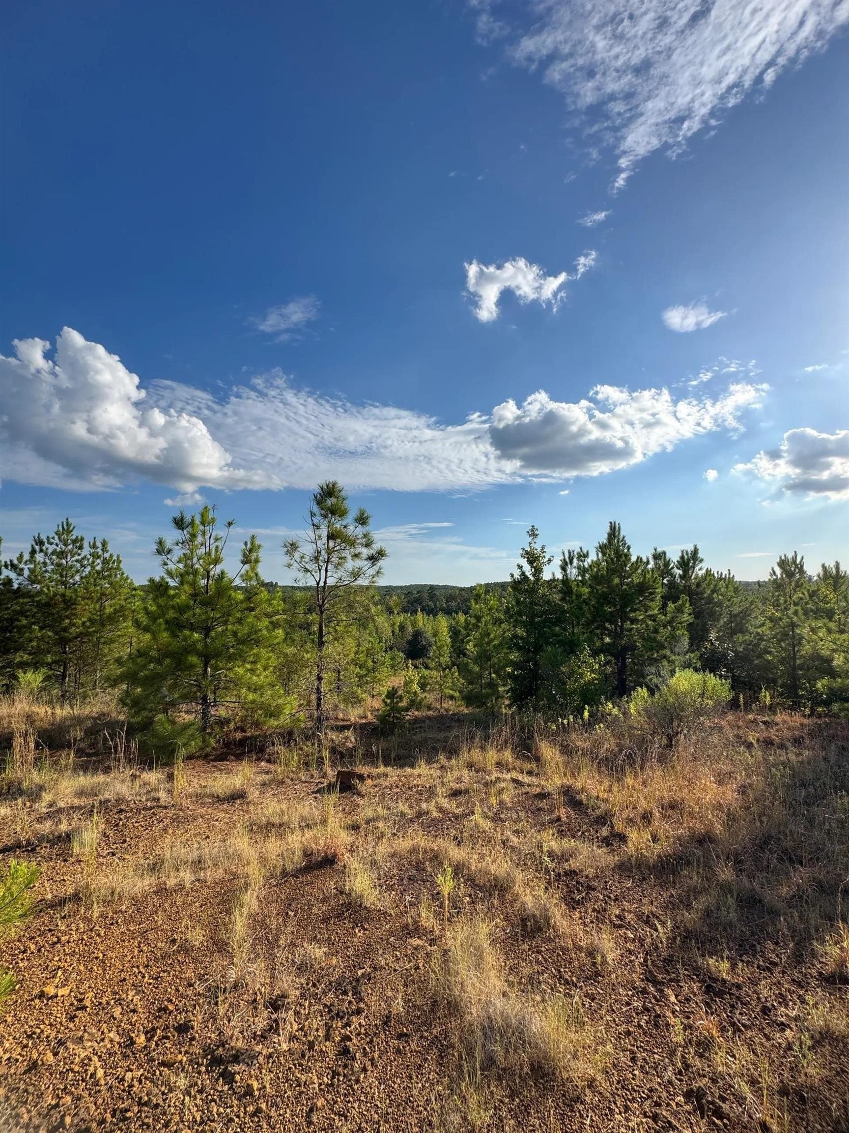 320 acres in Marion County - photo 17