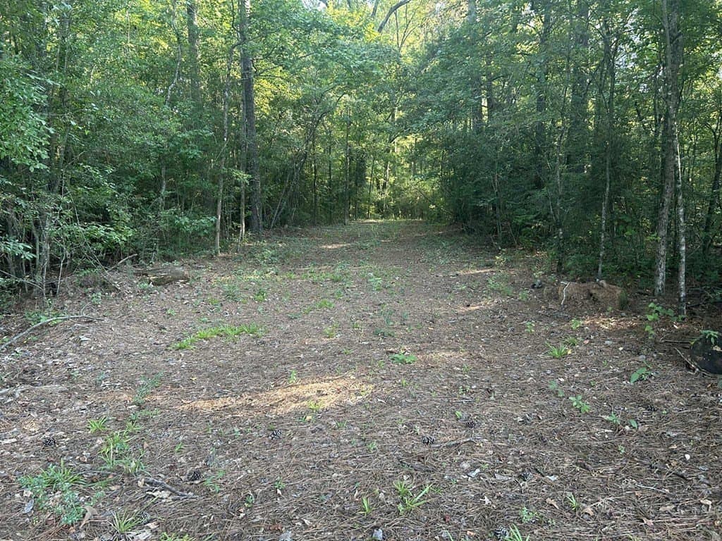 33.31 acres in Texas County gallery image 2