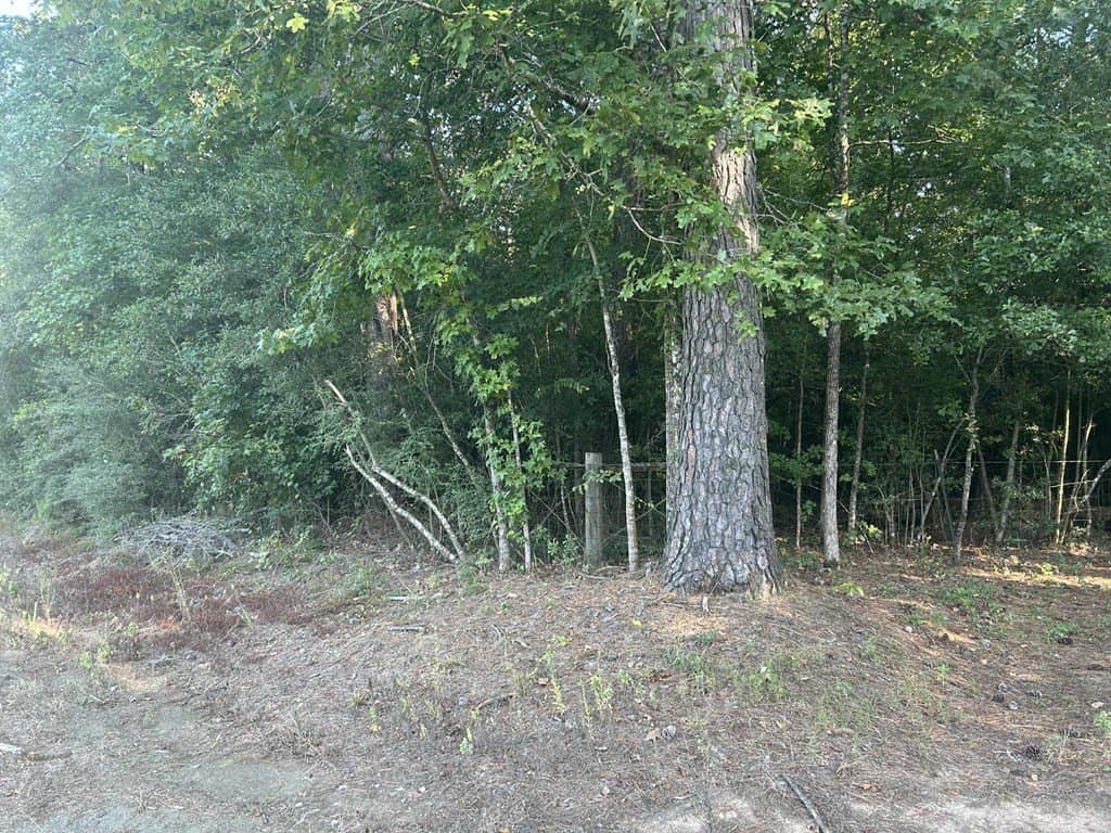 33.31 acres in Texas County gallery image 4