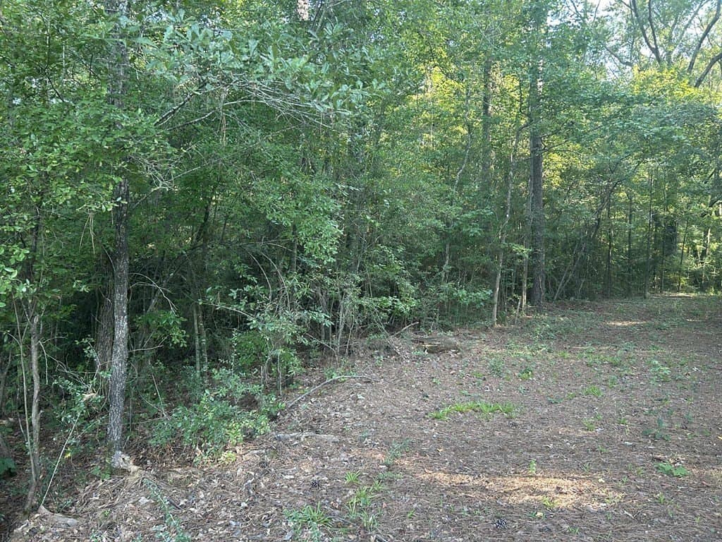 33.31 acres in Texas County gallery image 3