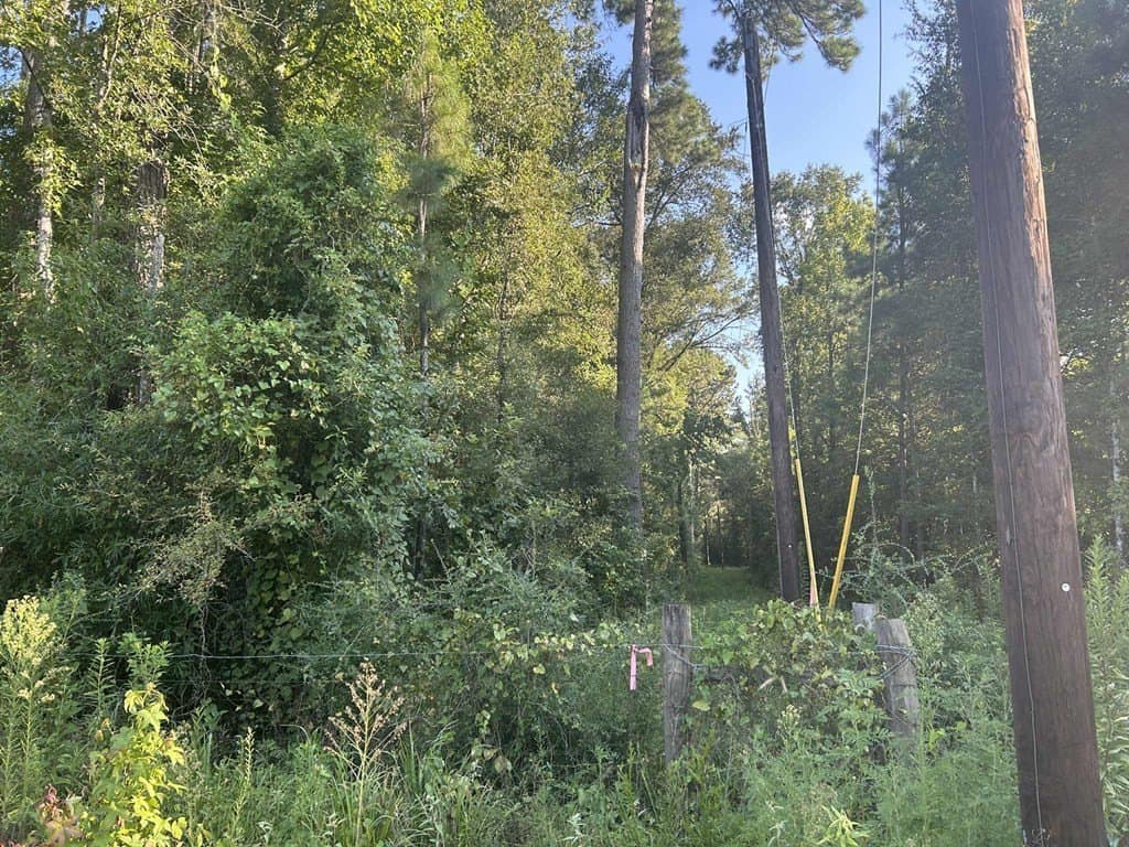 33.31 acres in Texas County featured view