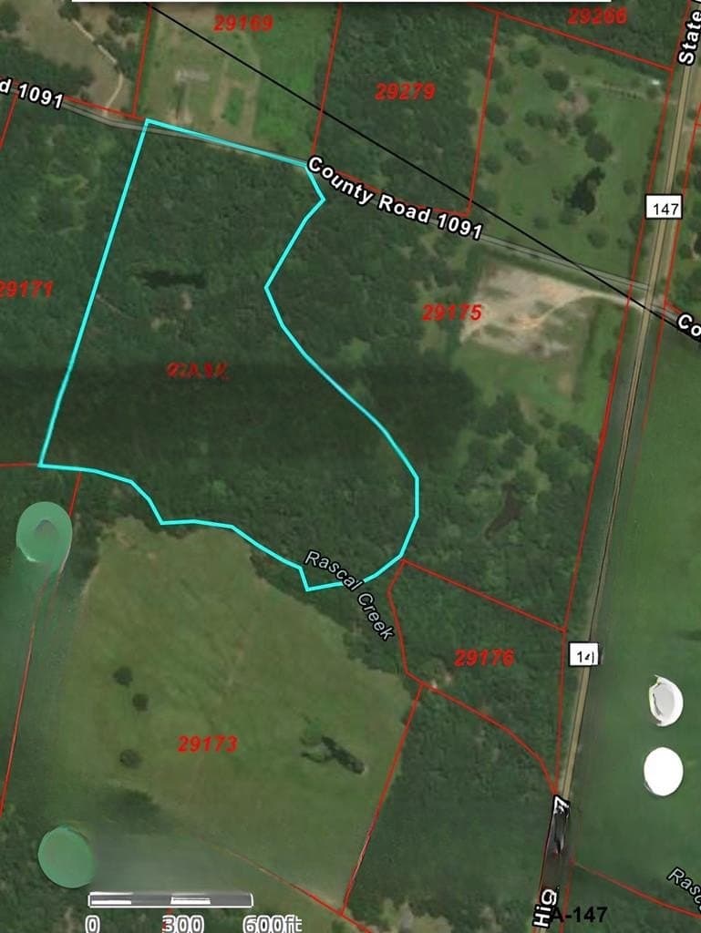 33.31 acres in Texas County