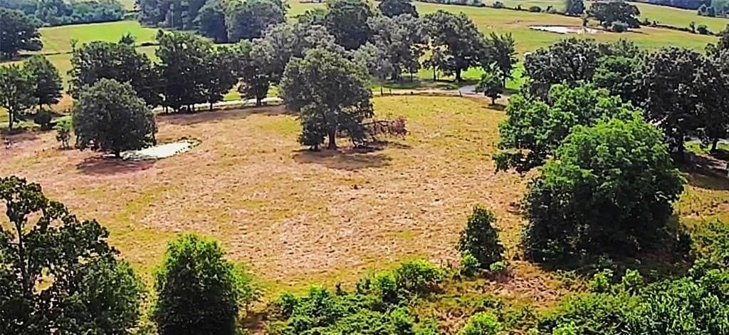 105 acres in Lamar County featured view