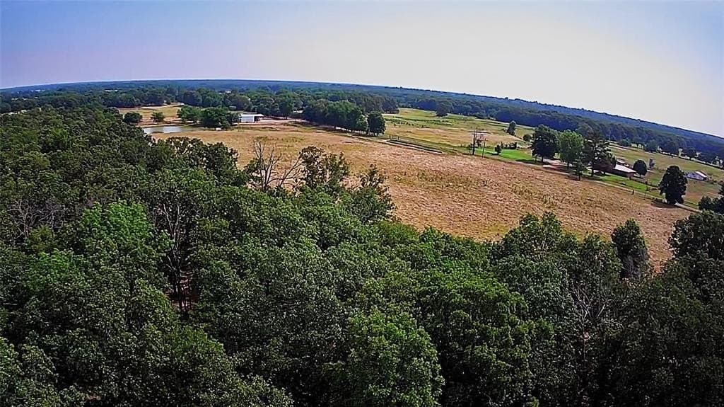 105 acres in Lamar County gallery image 3