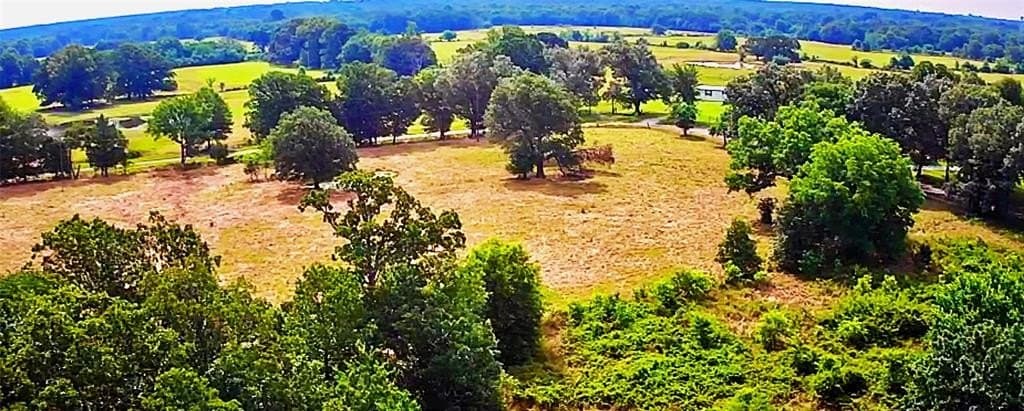 105 acres in Lamar County gallery image 4