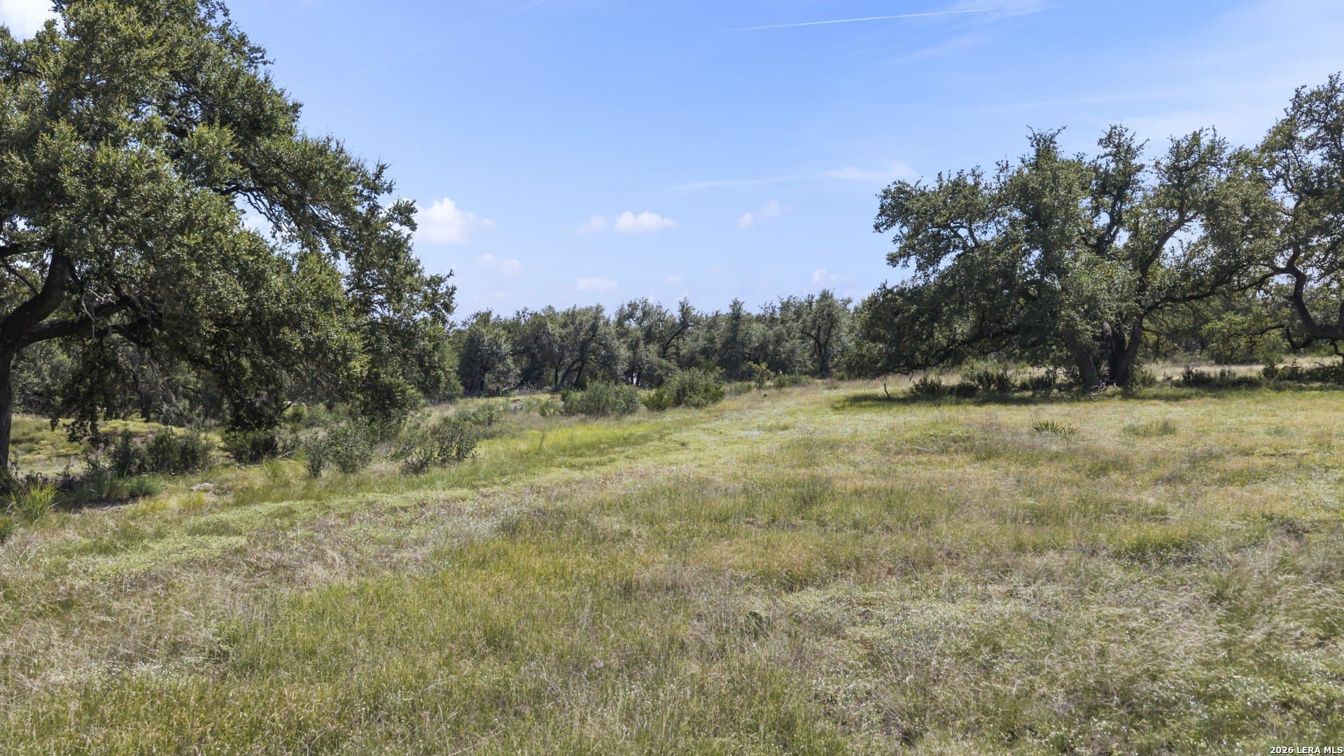 5 acres in Comal County featured view