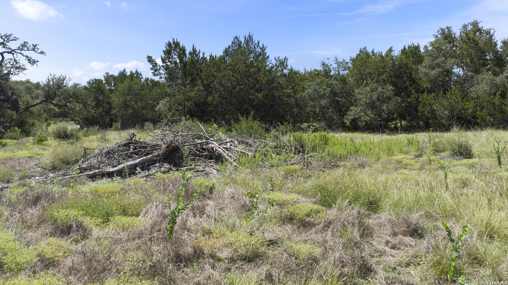 5 acres in Comal County - photo 12