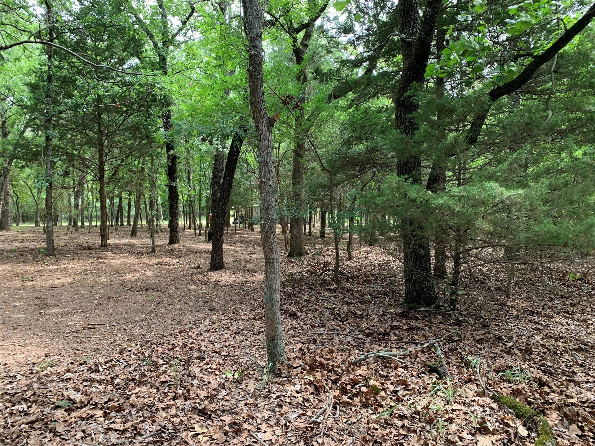 6.66 acres in Henderson County - photo 13