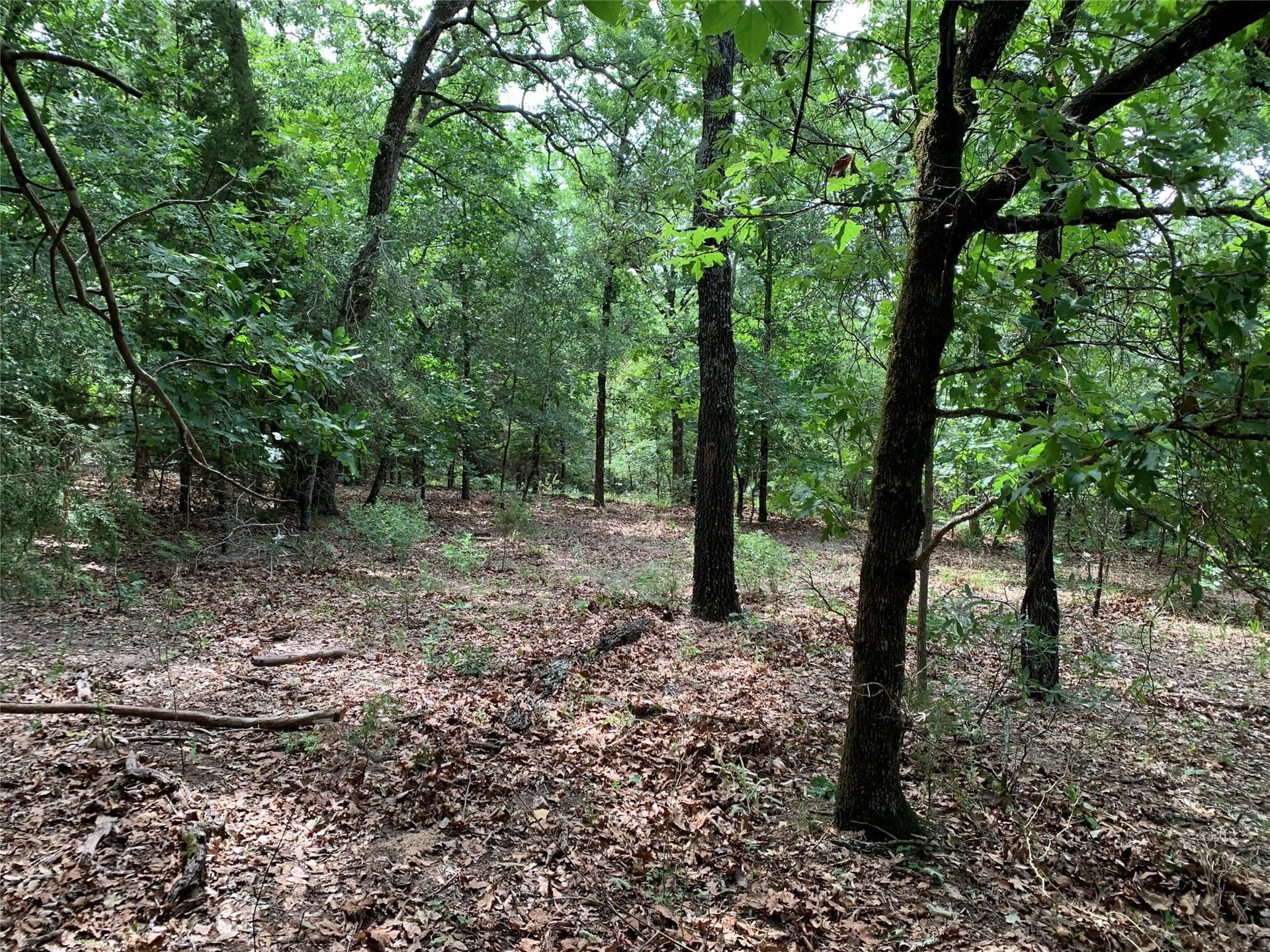 6.66 acres in Henderson County - photo 14