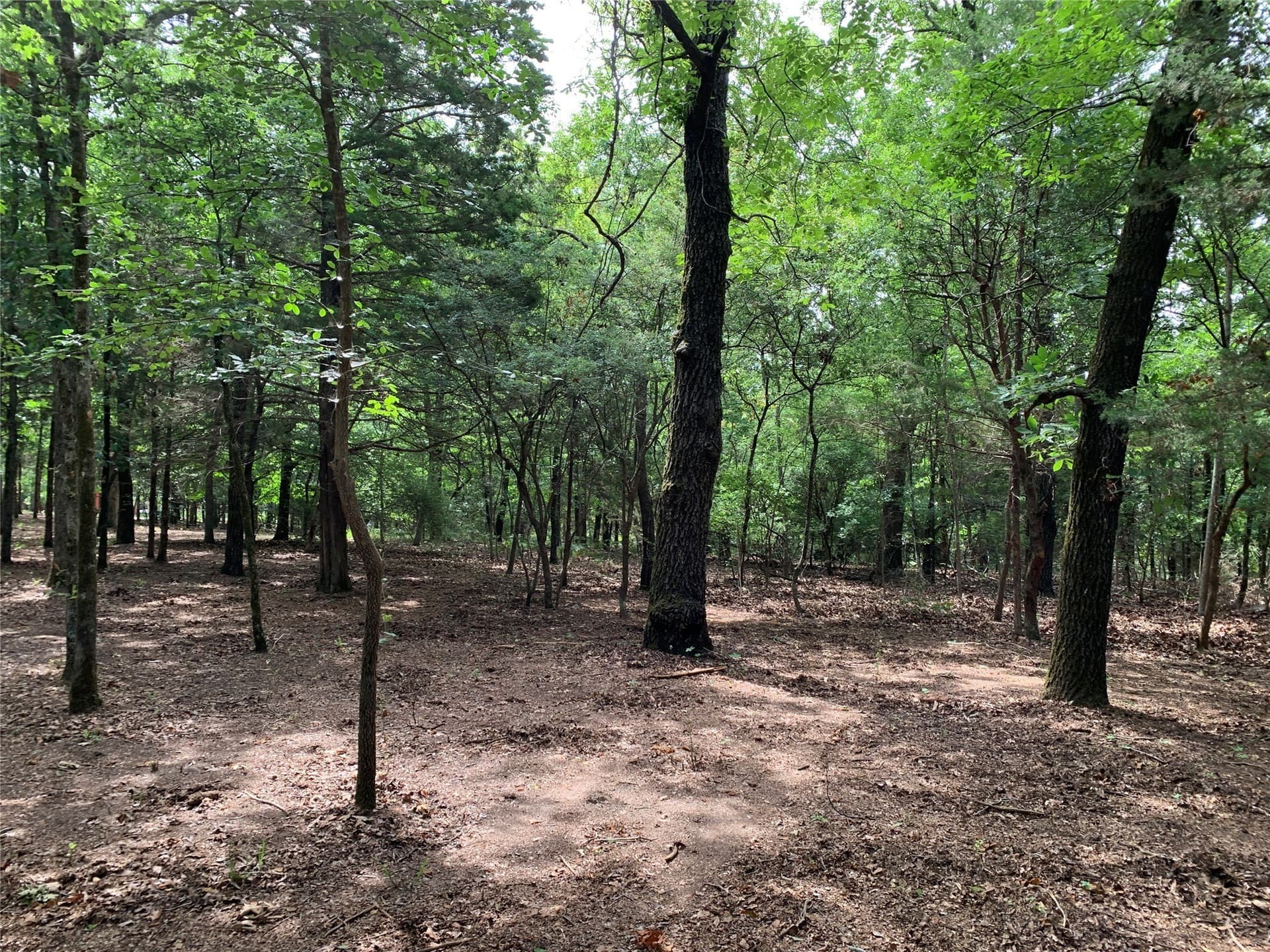 6.66 acres in Henderson County - photo 12