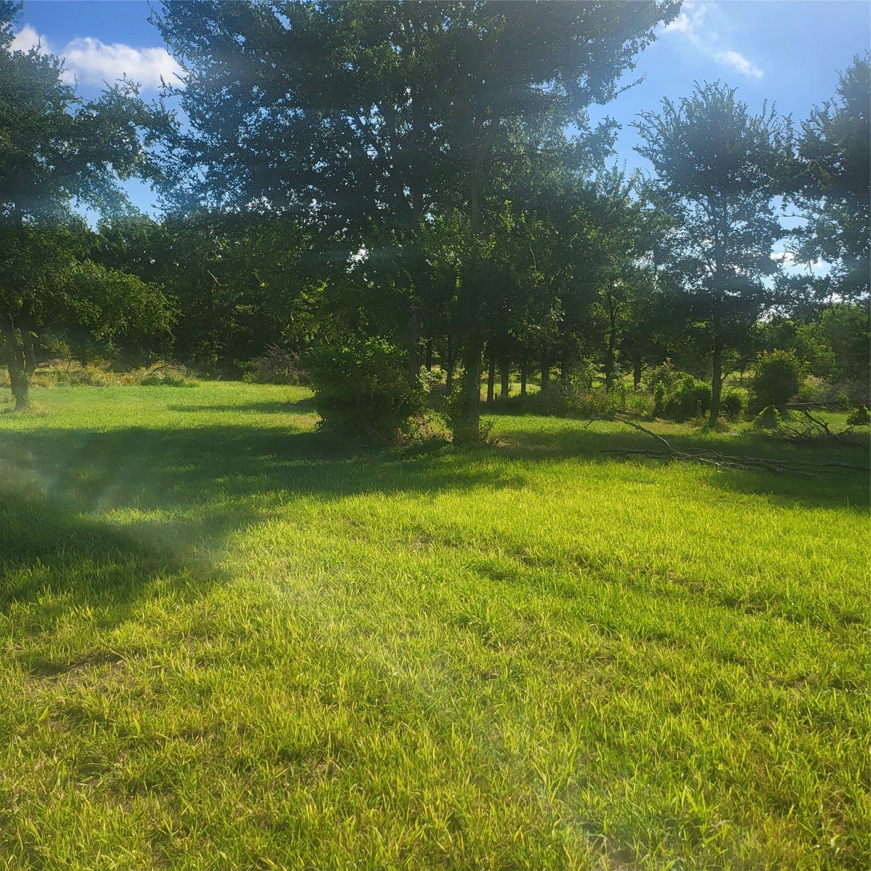 1.9 acres in Hunt County gallery image 2